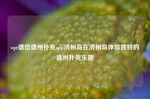 wpt德信德州扑克app济州岛在济州岛体验独特的德州扑克乐趣