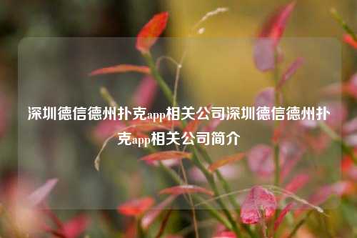 深圳德信德州扑克app相关公司深圳德信德州扑克app相关公司简介