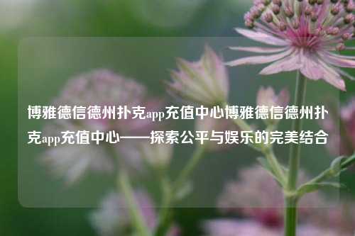 博雅德信德州扑克app充值中心博雅德信德州扑克app充值中心——探索公平与娱乐的完美结合