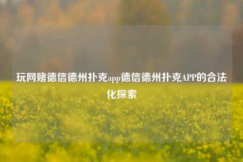 玩网赌德信德州扑克app德信德州扑克APP的合法化探索