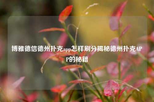 博雅德信德州扑克app怎样刷分揭秘德州扑克APP的秘籍