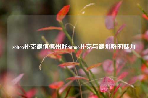 sohoo扑克德信德州群Sohoo扑克与德州群的魅力