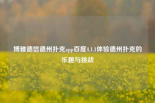 博雅德信德州扑克app百度4.1.1体验德州扑克的乐趣与挑战