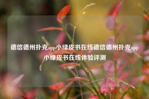 德信德州扑克app小绿皮书在线德信德州扑克app小绿皮书在线体验评测
