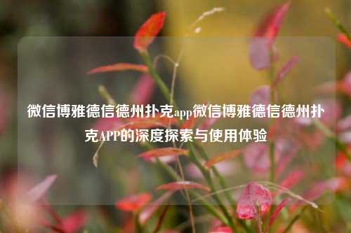 微信博雅德信德州扑克app微信博雅德信德州扑克APP的深度探索与使用体验