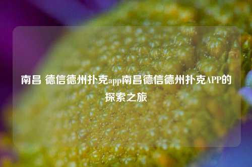 南昌 德信德州扑克app南昌德信德州扑克APP的探索之旅