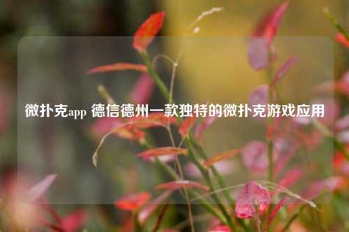 微扑克app 德信德州一款独特的微扑克游戏应用