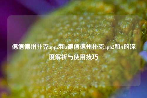德信德州扑克app2和a德信德州扑克app2和A的深度解析与使用技巧
