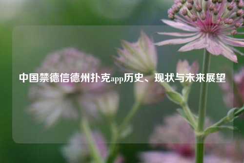 中国禁德信德州扑克app历史、现状与未来展望