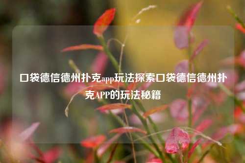口袋德信德州扑克app玩法探索口袋德信德州扑克APP的玩法秘籍