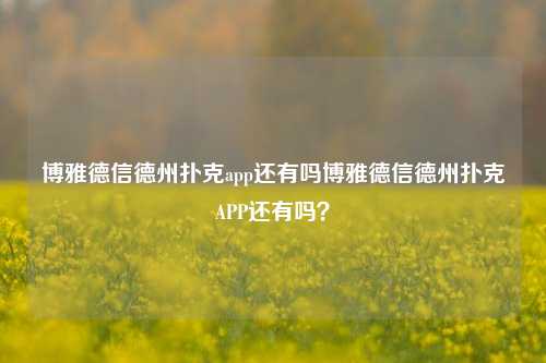 博雅德信德州扑克app还有吗博雅德信德州扑克APP还有吗？