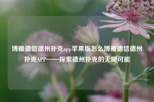 博雅德信德州扑克app苹果版怎么博雅德信德州扑克APP——探索德州扑克的无限可能