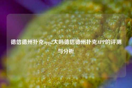 德信德州扑克app2大吗德信德州扑克APP的评测与分析