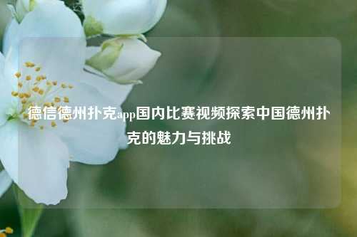 德信德州扑克app国内比赛视频探索中国德州扑克的魅力与挑战
