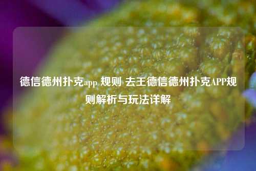 德信德州扑克app 规则 去王德信德州扑克APP规则解析与玩法详解