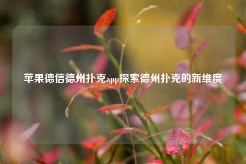 苹果德信德州扑克app探索德州扑克的新维度