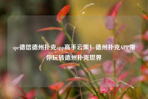 spr德信德州扑克app高手云集！德州扑克APP带你玩转德州扑克世界