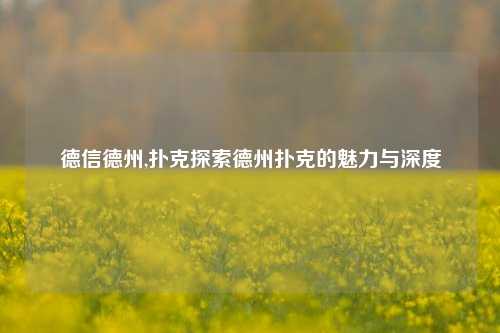 德信德州,扑克探索德州扑克的魅力与深度