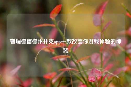 曹瑞德信德州扑克app一款改变你游戏体验的神器