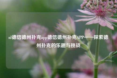 nl德信德州扑克app德信德州扑克APP——探索德州扑克的乐趣与挑战