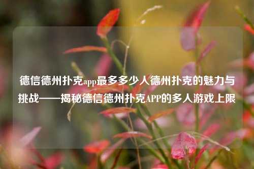 德信德州扑克app最多多少人德州扑克的魅力与挑战——揭秘德信德州扑克APP的多人游戏上限