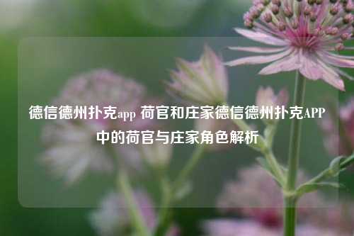 德信德州扑克app 荷官和庄家德信德州扑克APP中的荷官与庄家角色解析