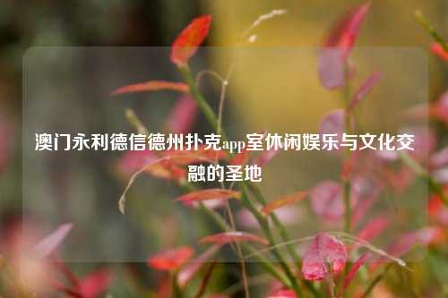 澳门永利德信德州扑克app室休闲娱乐与文化交融的圣地