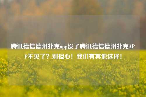 腾讯德信德州扑克app没了腾讯德信德州扑克APP不见了？别担心！我们有其他选择！