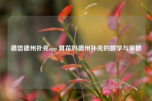 德信德州扑克app 算花吗德州扑克的数学与策略