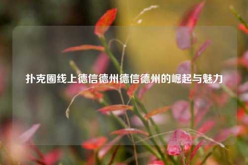 扑克圈线上德信德州德信德州的崛起与魅力