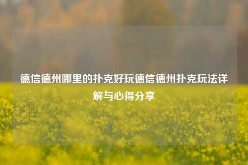 德信德州哪里的扑克好玩德信德州扑克玩法详解与心得分享