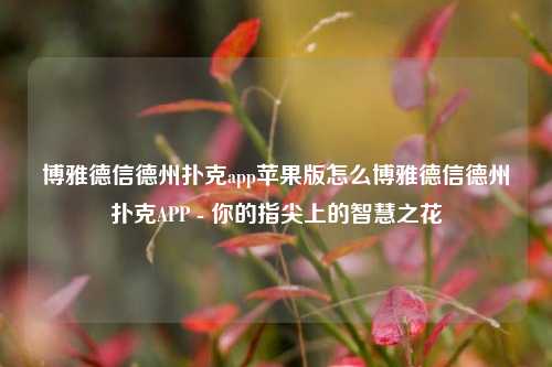 博雅德信德州扑克app苹果版怎么博雅德信德州扑克APP - 你的指尖上的智慧之花