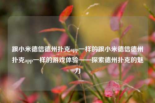 跟小米德信德州扑克app一样的跟小米德信德州扑克app一样的游戏体验——探索德州扑克的魅力