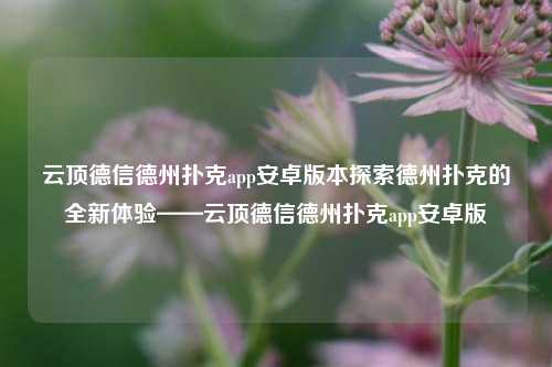 云顶德信德州扑克app安卓版本探索德州扑克的全新体验——云顶德信德州扑克app安卓版