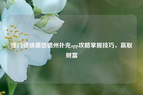 澳门赌场德信德州扑克app攻略掌握技巧，赢取财富