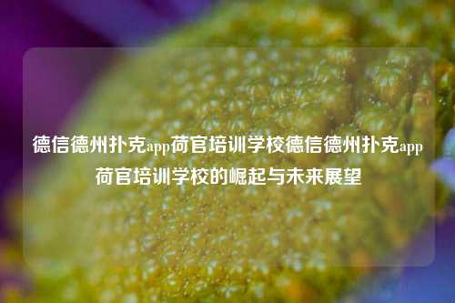 德信德州扑克app荷官培训学校德信德州扑克app荷官培训学校的崛起与未来展望