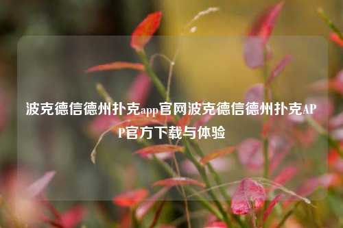波克德信德州扑克app官网波克德信德州扑克APP官方下载与体验