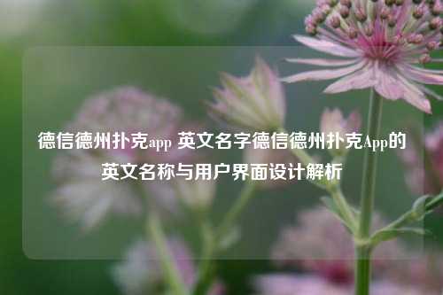 德信德州扑克app 英文名字德信德州扑克App的英文名称与用户界面设计解析