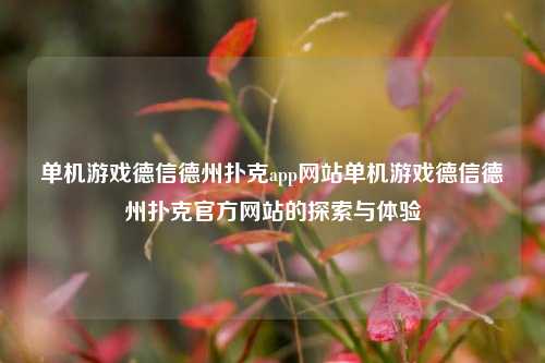 单机游戏德信德州扑克app网站单机游戏德信德州扑克官方网站的探索与体验
