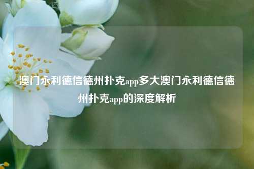 澳门永利德信德州扑克app多大澳门永利德信德州扑克app的深度解析