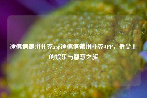 途德信德州扑克app途德信德州扑克APP，指尖上的娱乐与智慧之旅