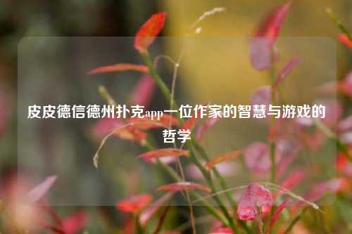 皮皮德信德州扑克app一位作家的智慧与游戏的哲学