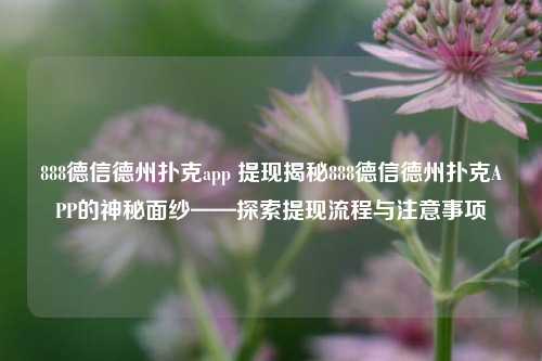 888德信德州扑克app 提现揭秘888德信德州扑克APP的神秘面纱——探索提现流程与注意事项