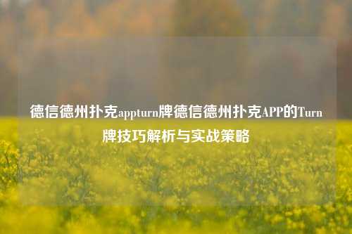 德信德州扑克appturn牌德信德州扑克APP的Turn牌技巧解析与实战策略