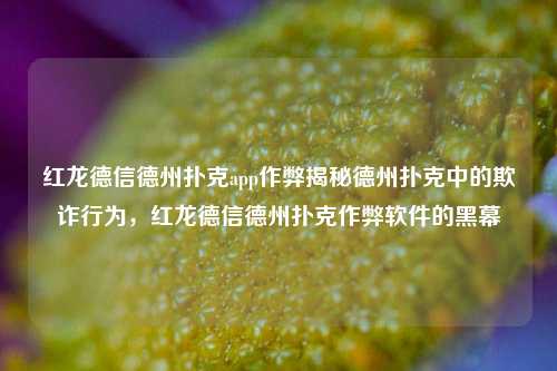 红龙德信德州扑克app作弊揭秘德州扑克中的欺诈行为，红龙德信德州扑克作弊软件的黑幕