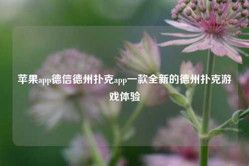 苹果app德信德州扑克app一款全新的德州扑克游戏体验