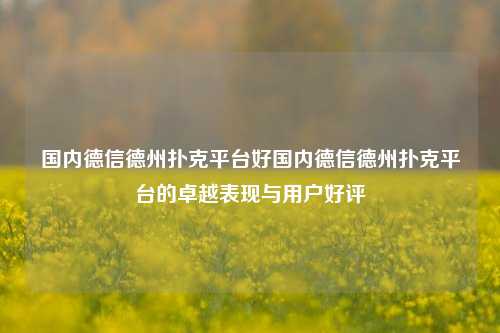 国内德信德州扑克平台好国内德信德州扑克平台的卓越表现与用户好评