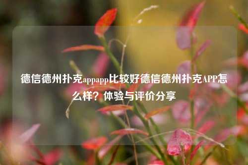 德信德州扑克appapp比较好德信德州扑克APP怎么样？体验与评价分享