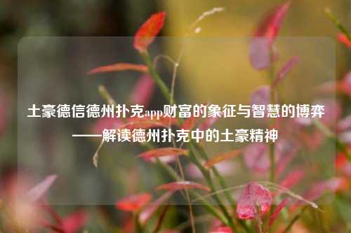 土豪德信德州扑克app财富的象征与智慧的博弈——解读德州扑克中的土豪精神