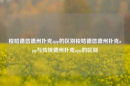 梭哈德信德州扑克app的区别梭哈德信德州扑克app与传统德州扑克app的区别